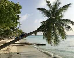 Malediivien upea Gulhin paikallissaari