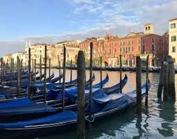 Venetsian hitit ja hudit