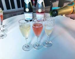 Shamppanjamatka Champagneen: Reims – Häämatka...