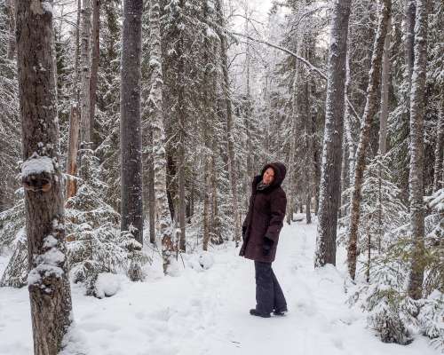 Rovaniemi antoi minulle talven ja lumisen luonnon