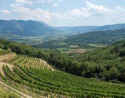 Vipava Valley – viiniä, mykistäviä maisemia j...