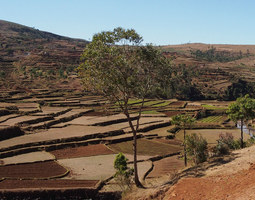 Madagaskarin ylängöillä