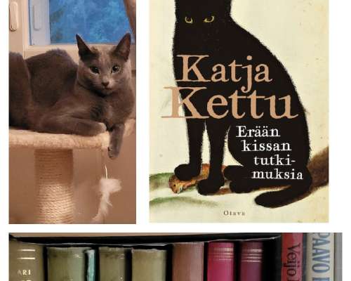 Katja Kettu: Erään kissan tutkimuksia