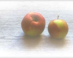 Omenavarkaissa osa 2: Omenaiset kaurasämpylät