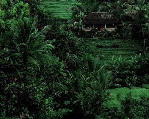 Bali: Syö, rukoile ja rakasta Jaavanmerellä