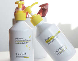 Budgie - Vegaaninen tehoduo