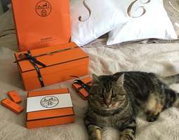 Hermes purchases