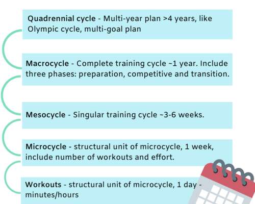 Periodization training cycle