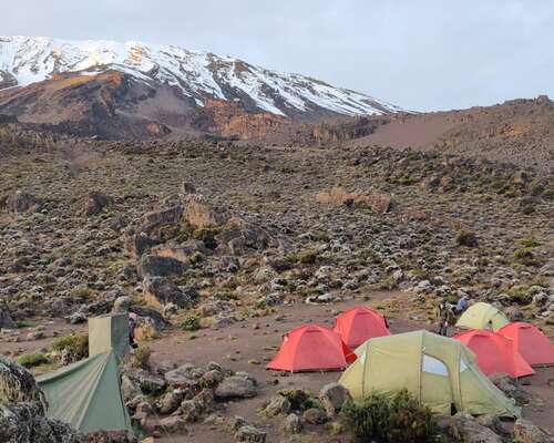 Kilimanjaro – Miltä tuntui kiivetä Afrikan ka...