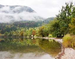 Patikointia Sloveniassa: Bohinj-järven ympäri