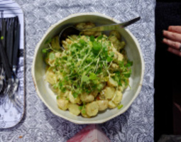Piknik-eväs: Savumanteli-perunasalaatti