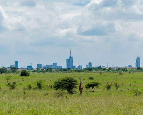 Kenia matkalla kohti vihreää kehitystä