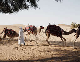 Kerralla enemmän: Dubain aavikolta suurkaupun...