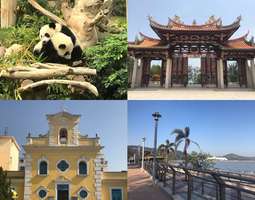 Mitä Missä Macao: Uusi tuttavuus Coloane