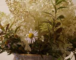 Hortensiakimppu - Hydrangea-bouquet
