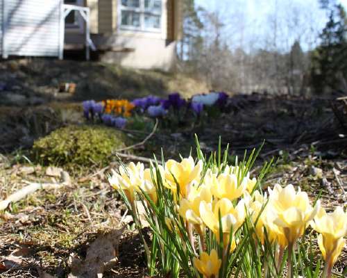 Kevät etenee ja uusi komposti