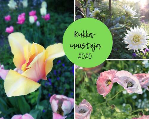 Kukkamuistoja puutarhasta 2020