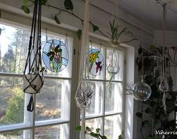 Paljon naruamppeleita kasveille ikkunaan!