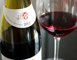 Hyvän vuosikerran Pinot Noiria Bourgognesta