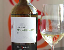 Malagouzia – viini Kreikan omasta rypäleestä