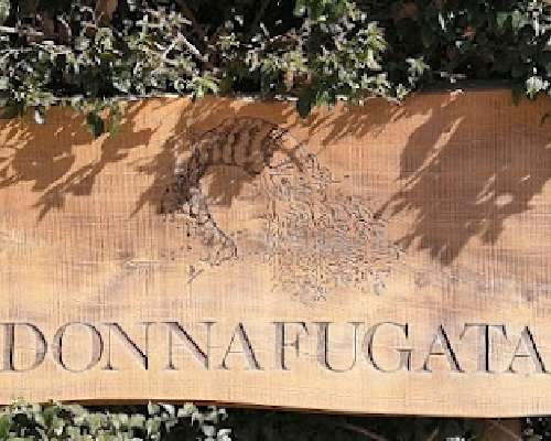 DONNAFUGATA-wines - respect for heritage, nat...