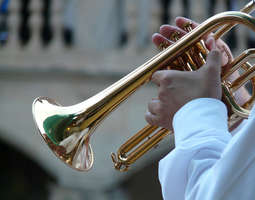Temperamenttinen trumpetti