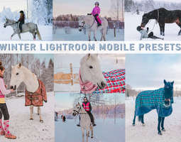 Talviset Lightroom presetit hevoskuville ovat...