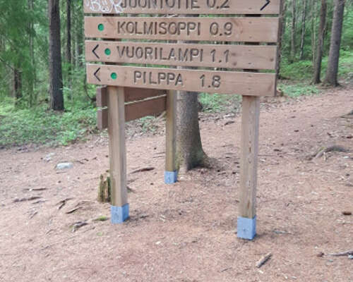 6 km Kuopion torilta: Kolmisoppi-Neulamäki lu...