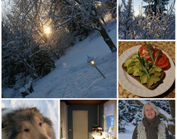 Talvielämää ja influenssaa - Winter life and ...