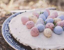 Easter Pasha Cake & Oreo Crust