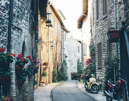 Spell-binding Assisi
