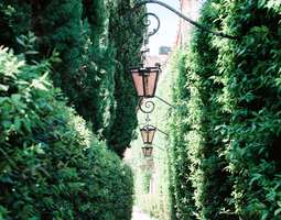 The Secret Garden of Venice