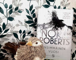 Ensimmäinen vuosi - Nora Roberts