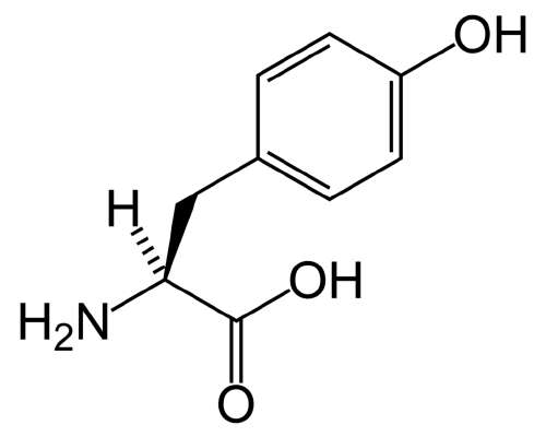 L-tyrosiinin hyödyt ja haittavaikutukset